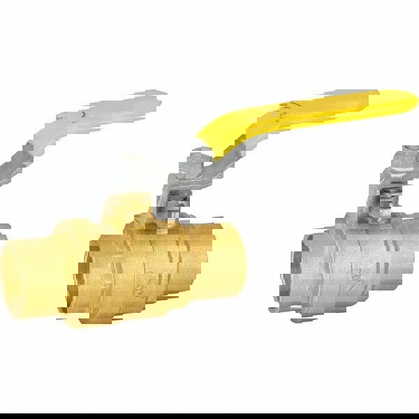 2-Way Manual Ball Valve: 1-1/4