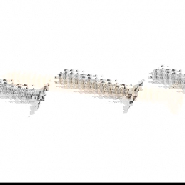 Sheet Metal Screw: #10, Pan Head, Phillips