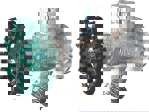 1/2 PEX A/SIPHON WALL FCT