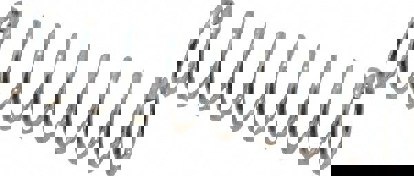 Utility Compression Spring: 0.313