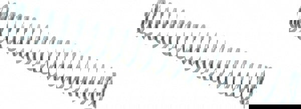 Utility Compression Spring: 0.313