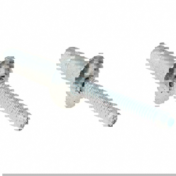 Structural Blind Rivet: Truss Head, Steel Body, Steel Mandrel