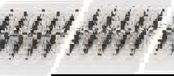 Incandescent Miniature & Specialty S8 Lamp