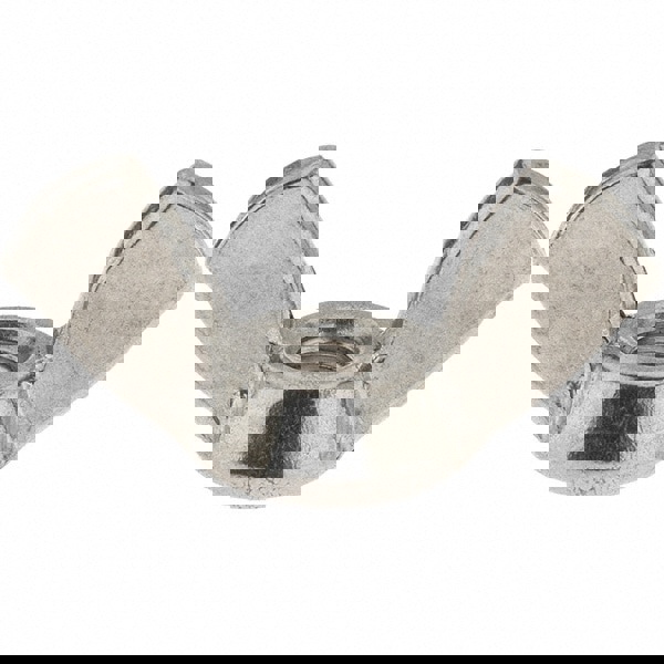 #8-32 UNC, Stainless Steel Standard Wing Nut