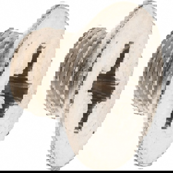 Machine Screw: #10-32 x 1/4