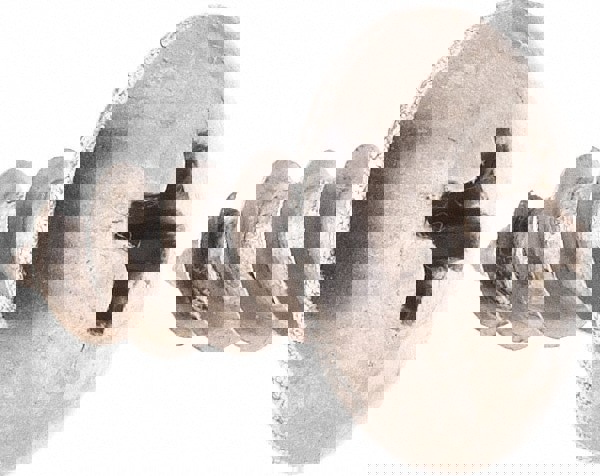 Sheet Metal Screw: #10, Truss Head, Phillips