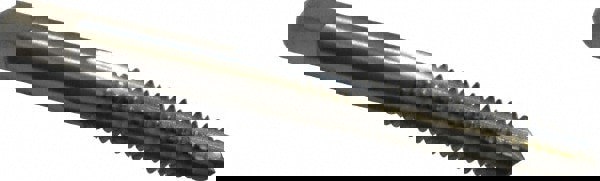 1/4-20 Plug RH H2 Bright High Speed Steel 4-Flute Straight Flute Hand Tap