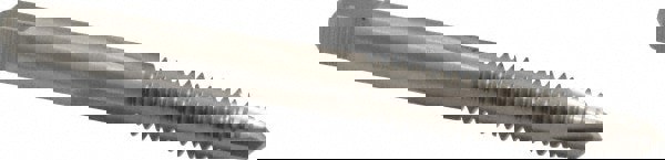 Spiral Point Tap: 1/4-20, UNC, 3 Flutes, Plug, 2B, High Speed Steel, Bright Finish