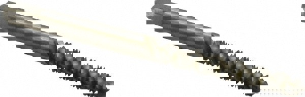 Spiral Flute Tap: #10-32, UNF, 3 Flute, Plug, 2B Class of Fit, High Speed Steel, Bright/Uncoated