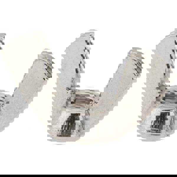 1/4-20 UNC, Stainless Steel Standard Wing Nut