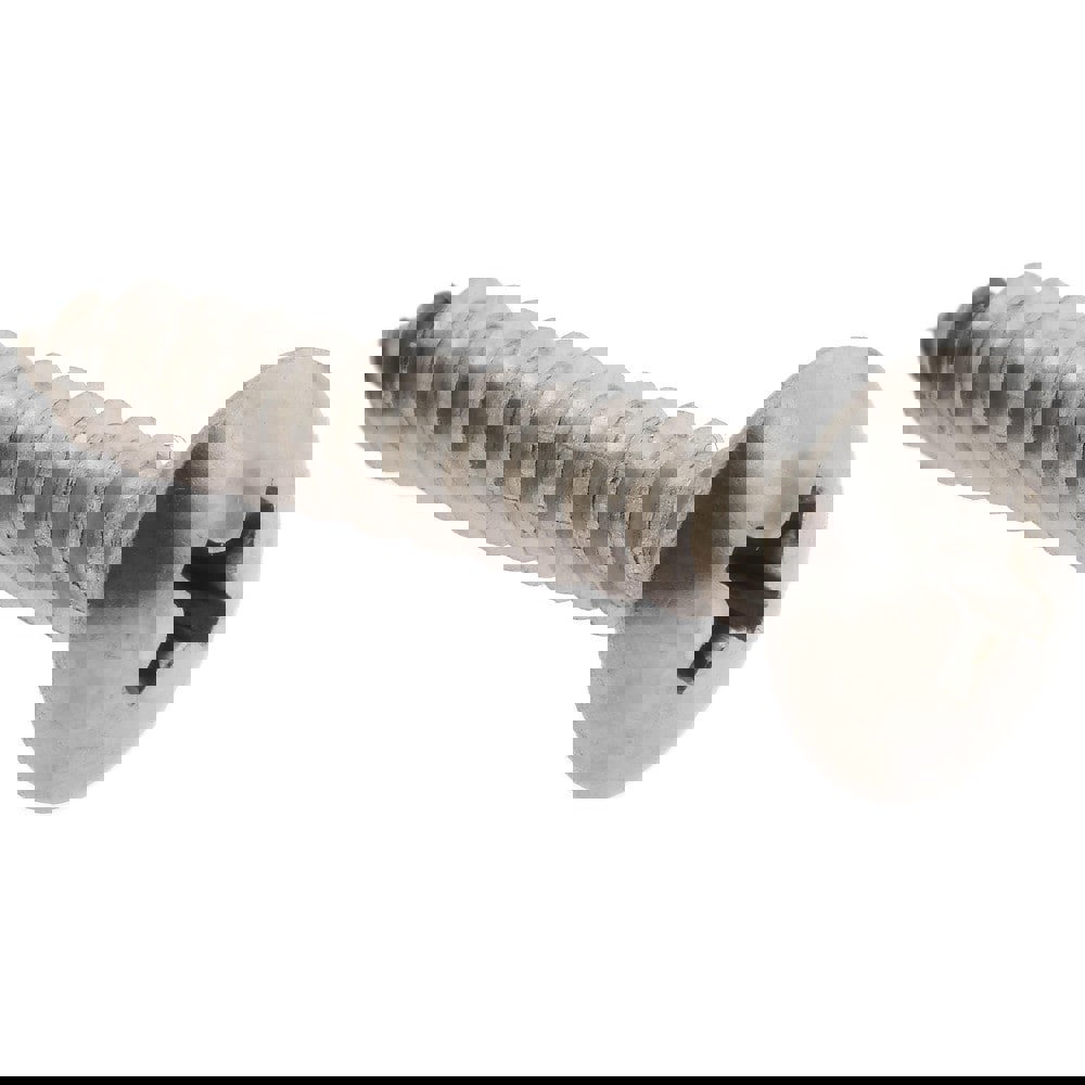 Sheet Metal Screw: #8, Truss Head, Phillips