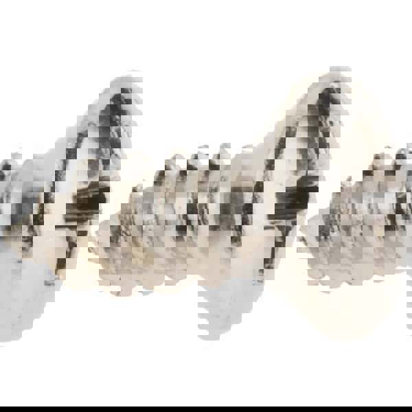 Sheet Metal Screw: #10, Pan Head, Phillips