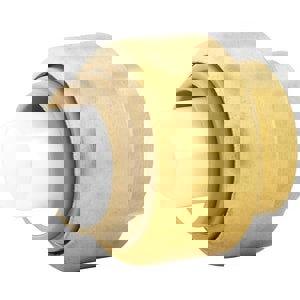 LF 1 BRS CAP PLUMBITE