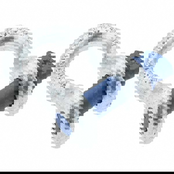 Anchor Shackle: Screw Pin