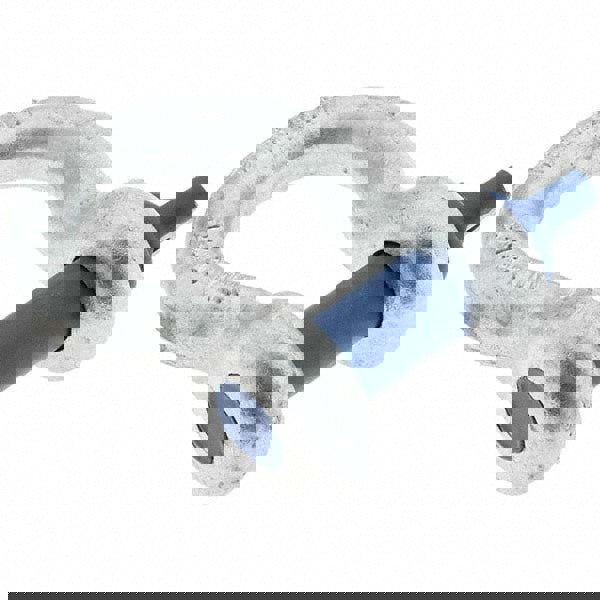 Anchor Shackle: Screw Pin