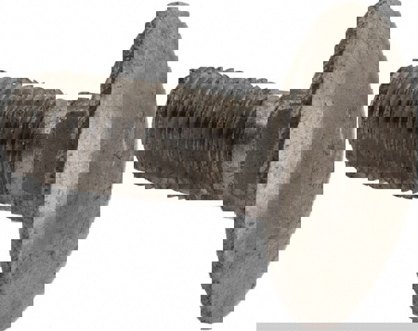 Carriage Bolt: M6 x 1.00, 16 mm Length Under Head, Square Neck