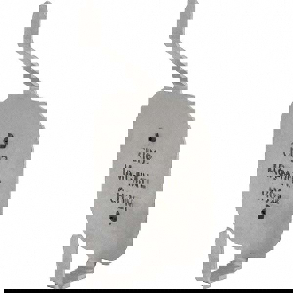 Storage Hook: Magnetic Mount, 2-35/64