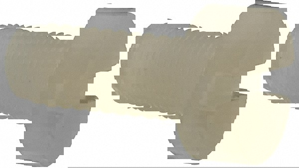 Machine Screw: Cheese Head, Slotted