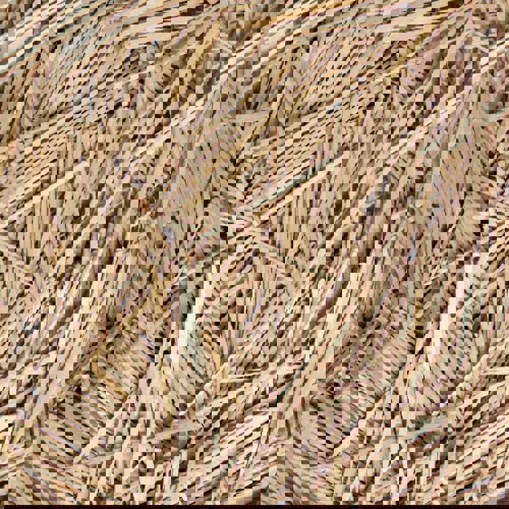 TOOTHPICKS,FLAT,2500/PK