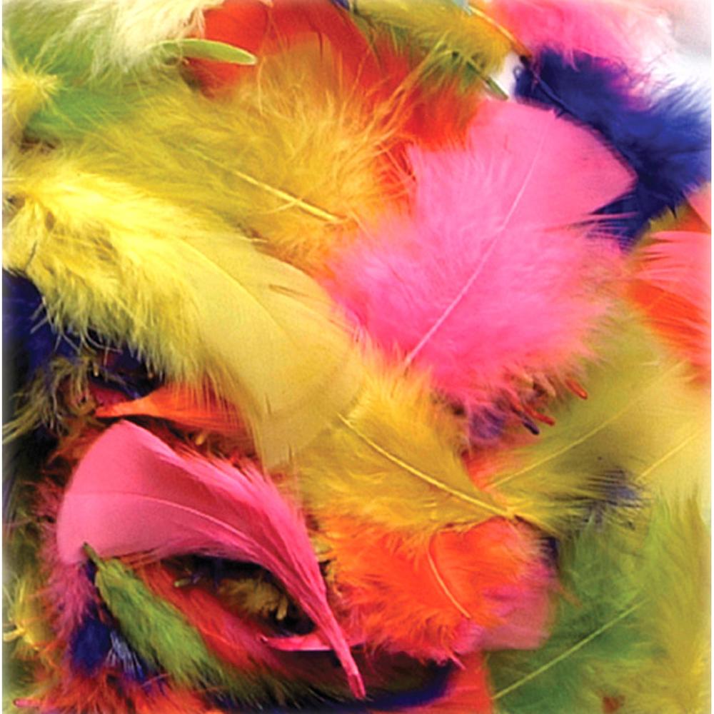 FEATHERS,1 OZ,BRIGHT HUES