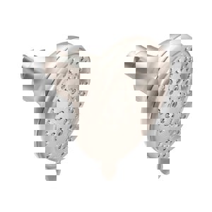 CCN 2.5 GPM 5F SHWRHD CP