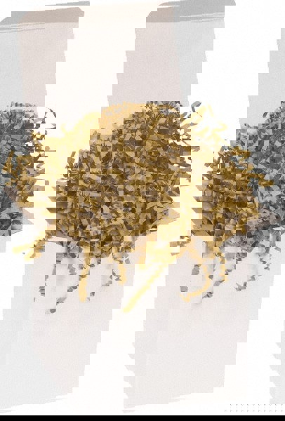 Packing Paper: Shredded Papers