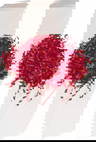 Packing Paper: Shredded Papers