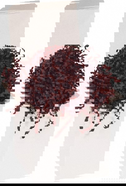 Packing Paper: Shredded Papers