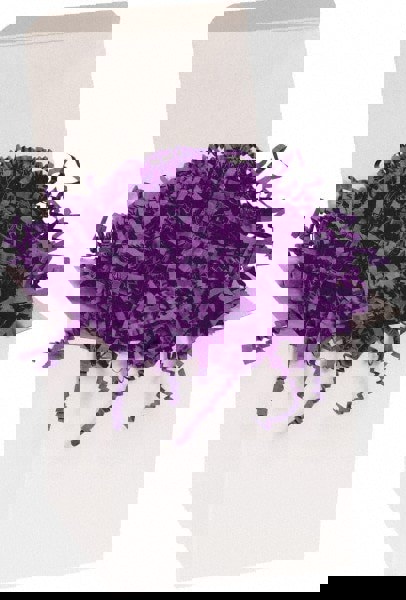 Packing Paper: Shredded Papers