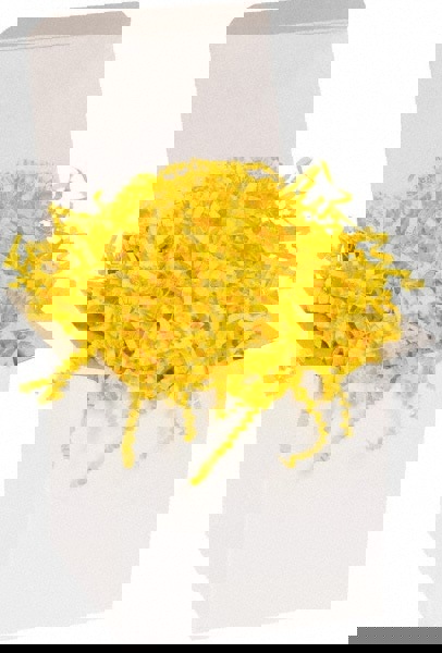 Packing Paper: Shredded Papers