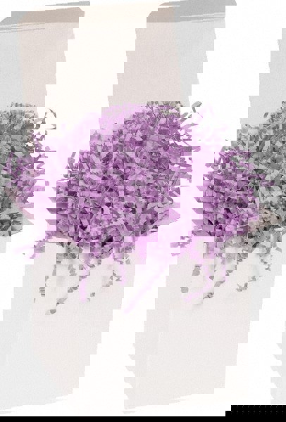 Packing Paper: Shredded Papers