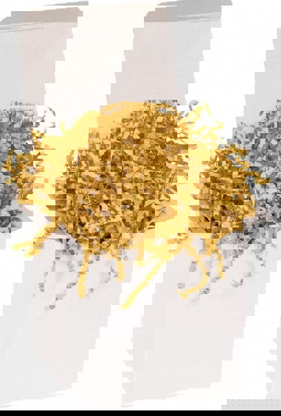 Packing Paper: Shredded Papers