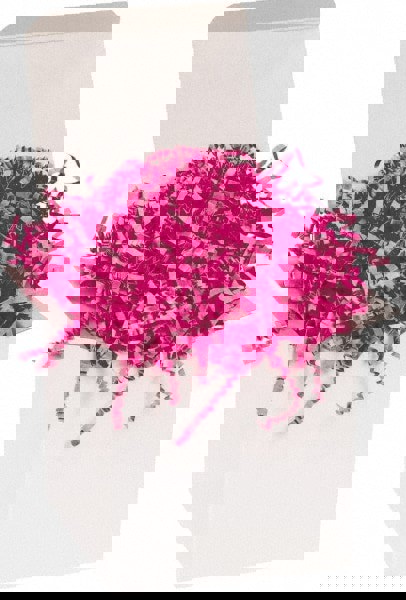 Packing Paper: Shredded Papers