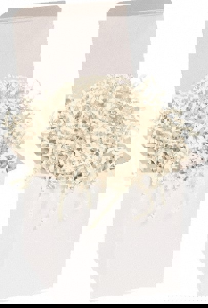 Packing Paper: Shredded Papers