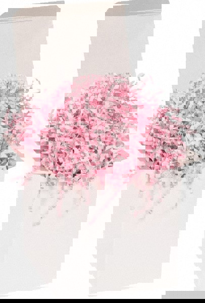 Packing Paper: Shredded Papers