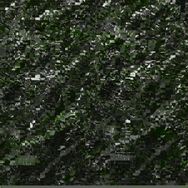 Packing Paper: Shredded Papers