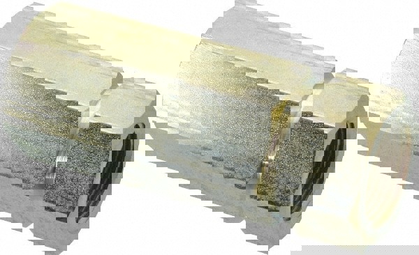 Hydraulic Hose Check Valve: 1