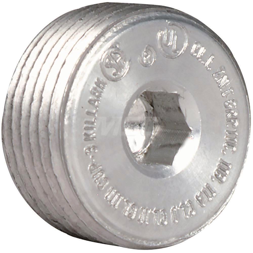 Conduit Plug: For Rigid, 2