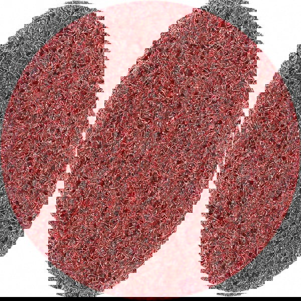 Quick-Change Disc: Roloc, 2