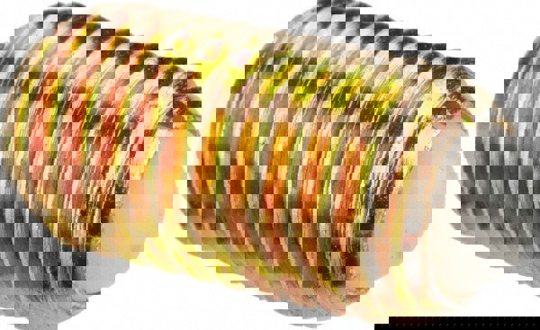 Threaded Ball Plunger: M12 x 1.75, 0.315