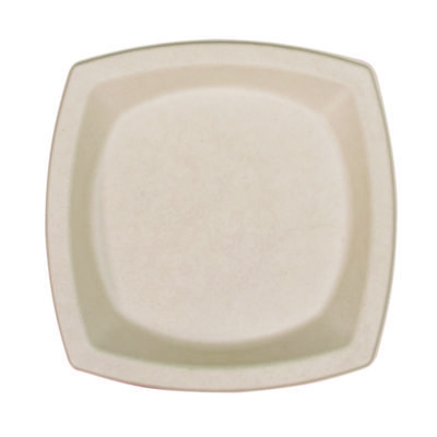 PLATE,8.5,SQ,125,PFF,TN