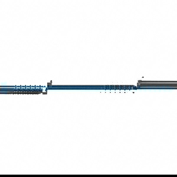 Concrete & Masonry Fastener: 1/4