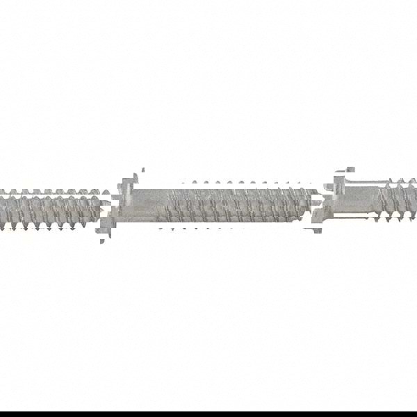 Concrete & Masonry Fastener: 1/4