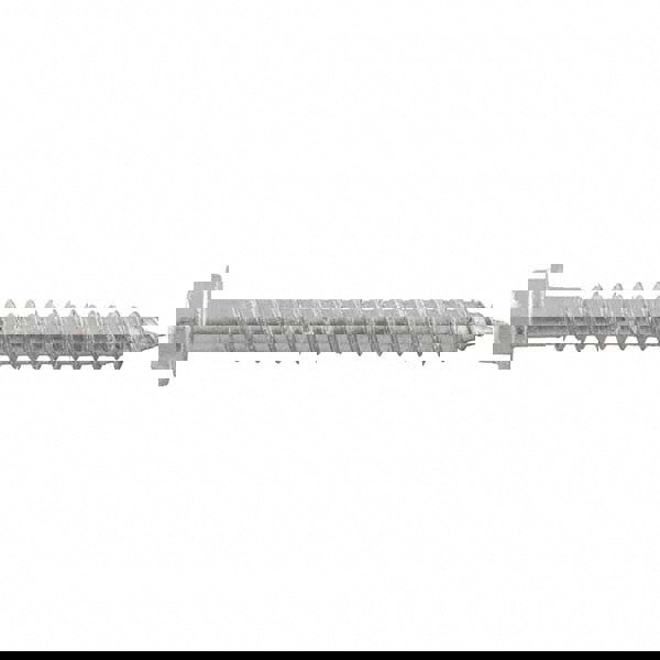 Concrete & Masonry Fastener: 1/4