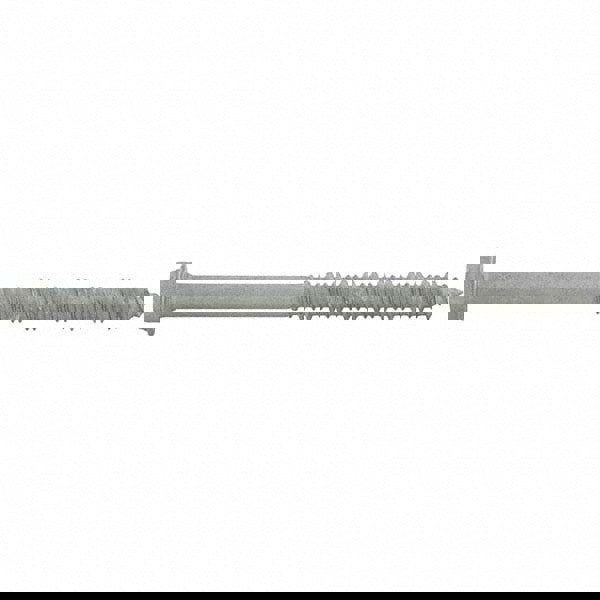 Concrete & Masonry Fastener: 1/4