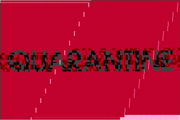 Label Maker Label: Fluorescent Red, Paper, 3