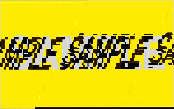 Label Maker Label: Fluorescent Yellow, Paper, 2