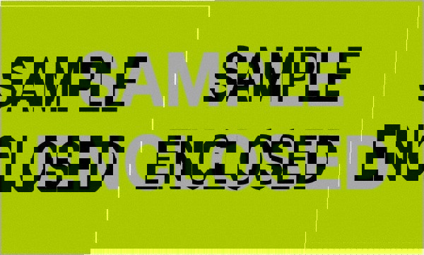 Label Maker Label: Fluorescent Green, Paper, 5