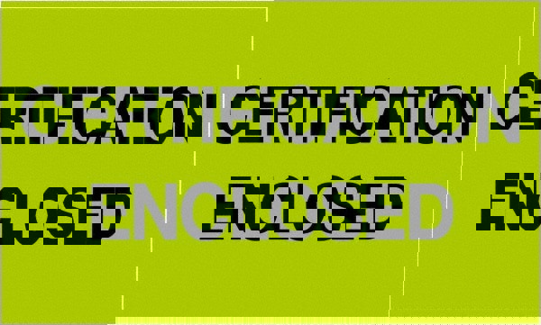 Label Maker Label: Fluorescent Green, Paper, 5