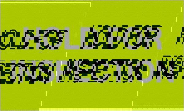 Label Maker Label: Fluorescent Green, Paper, 5